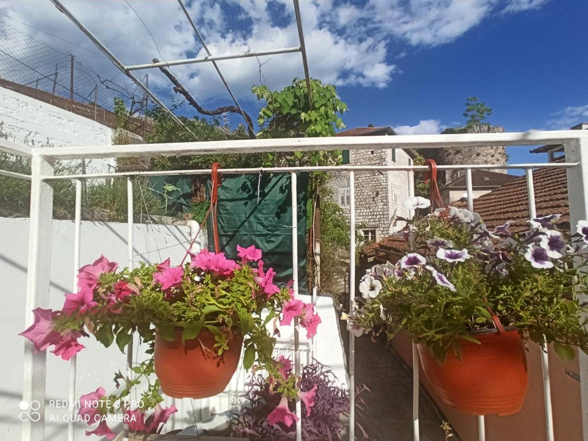 Apartment Cepic Herceg Novi Exterior foto